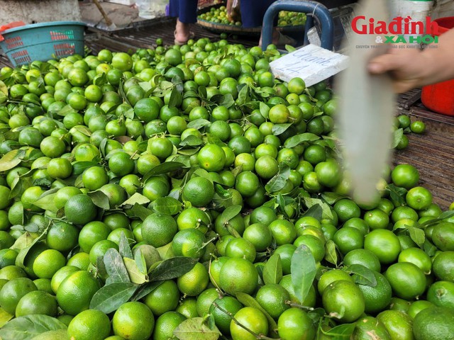 Nếu ngày 24/9 - thời điểm bão Ragasa đang cách đất liền khoảng 500km về hướng Đông, giá bán chanh tại chợ đầu mối phía Nam là 13.000 đồng thì hôm nay, giá tăng nhẹ là 14.000 đồng/kg. Ảnh: Khánh Dương