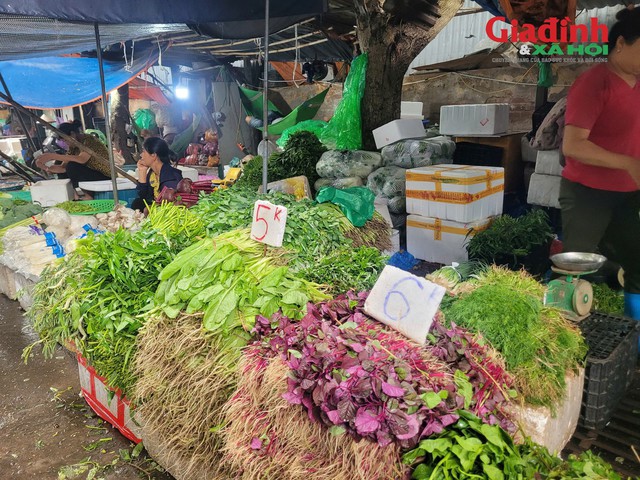 Tại chợ đầu mối phía Nam, giá rau cải xanh giữ nguyên mức 5.000 đồng/bó, rau mồng tơi và rau rền đỏ là 6.000 đồng/bó. Ảnh: Khánh Dương