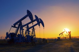 Thị trường - Tiêu dùng - Giá dầu tăng mạnh nhất trong 3 tháng vì Nga hạn chế xuất khẩu