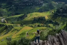 Ăn - chơi - Thưởng ngoạn mùa vàng rực rỡ trên 'sống lưng khủng long' Púng Luông