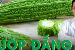 Sức khỏe đời sống - Mướp đắng tốt cho sức khoẻ nhưng nhóm người sau không nên ăn