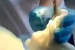 Bạn trẻ - Cuộc sống - Đang ngủ ngoài sân, người phụ nữ sốc nặng khi bị con rắn 1,2m chui vào miệng