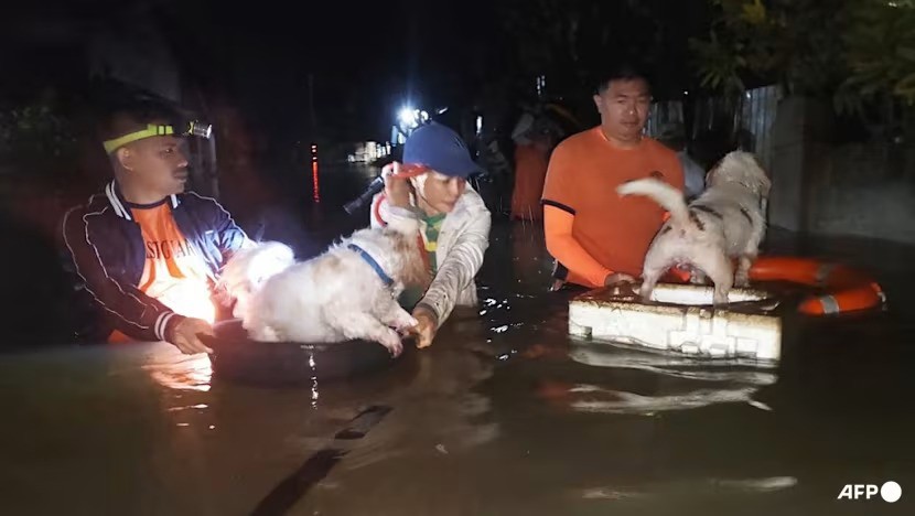 Lực lượng bảo vệ bờ biển Philippines hỗ trợ người dân sơ tán khi bão Bualoi gây mưa lớn, ngập lụt (ảnh: AFP)