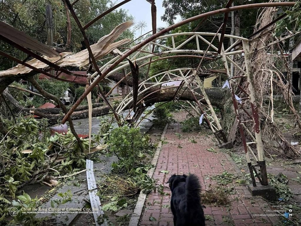 Cảnh tan hoang ở tỉnh Samar khi bão Bualoi quét qua (ảnh: Rappler)