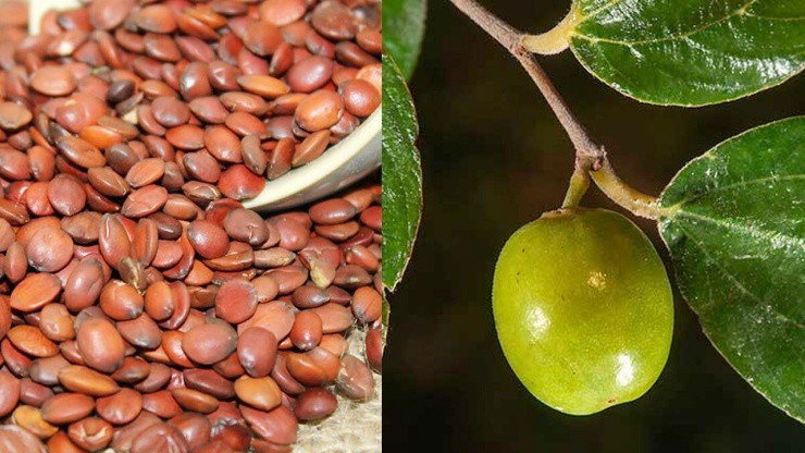 Thứ 99% người Việt thường bỏ đi, ở đây bán hơn 2 triệu đồng/kg - 1