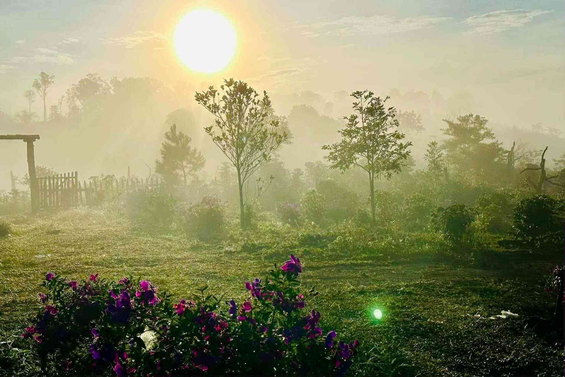 Ngôi làng bình yên ở Măng Đen bất ngờ hút khách nhờ những kho lúa - 6