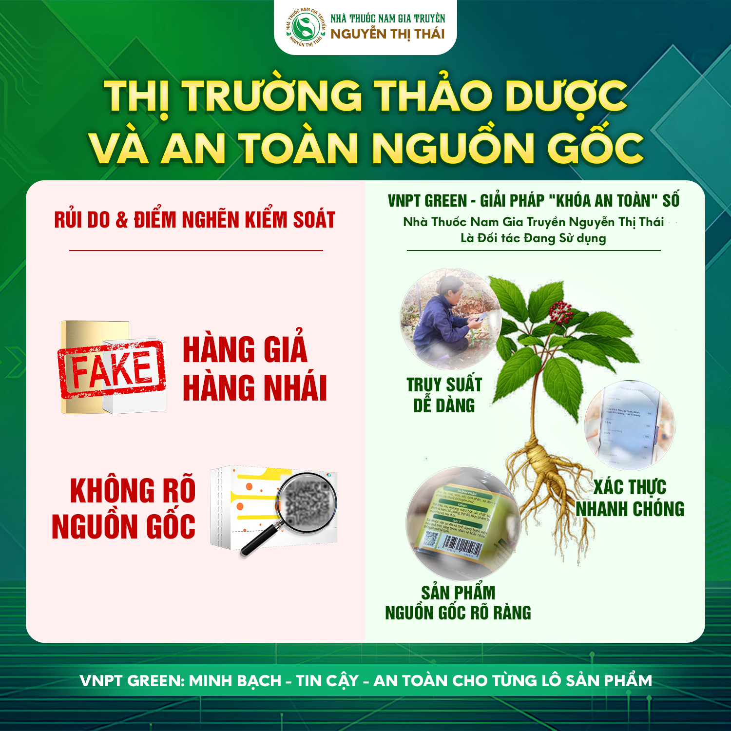 Rủi ro an toàn trên thị trường thảo dược.