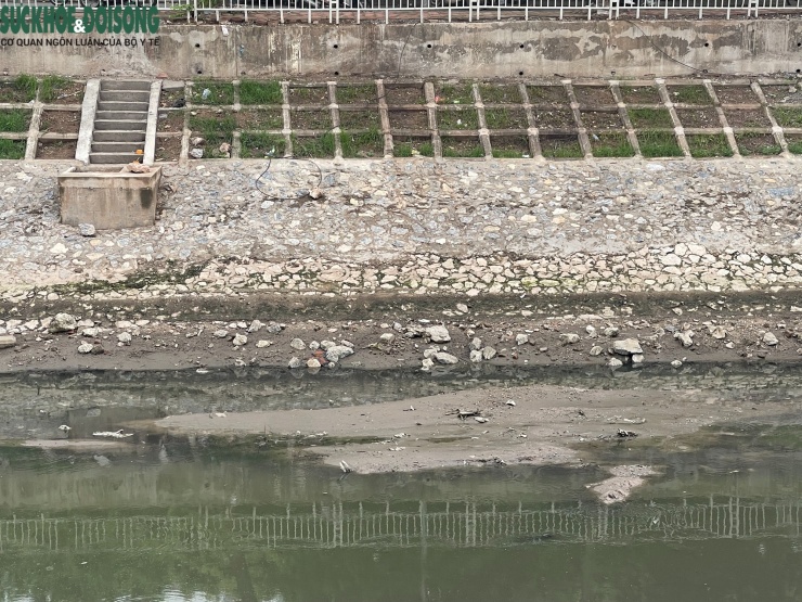 Nước sông Tô Lịch (Hà Nội) bất ngờ rút mạnh.