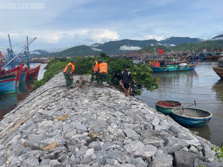 Lực lượng Biên phòng tỉnh Quảng Trị kêu gọi, hỗ trợ ngư dân neo đậu tàu thuyền ứng phó với bão số 10
