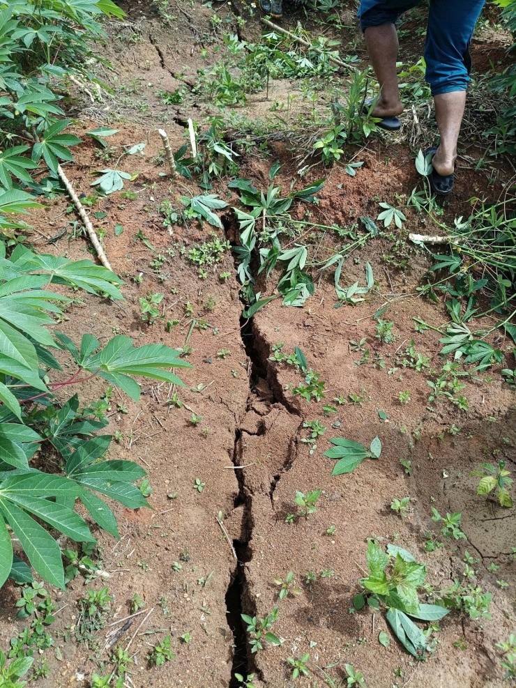 Vết nứt trên đỉnh đồi núi ở thôn Rooc Mẹt có chiều rộng 5-15cm, sâu 45-50cm, kéo dài gần 200m.