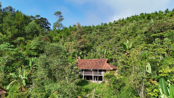 Kỳ nghỉ chạm vào biển mây ở nóc nhà Bảo Lộc - 8