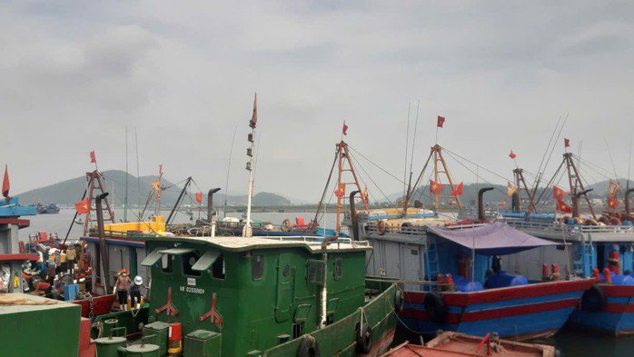 Tỉnh Nghệ An cấm tàu thuyền ra khơi từ 5 giờ ngày 27-9