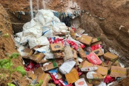 Buộc tiêu hủy hơn 5,3 tấn thịt gà, thịt lợn và thịt bò đông lạnh nhập lậu