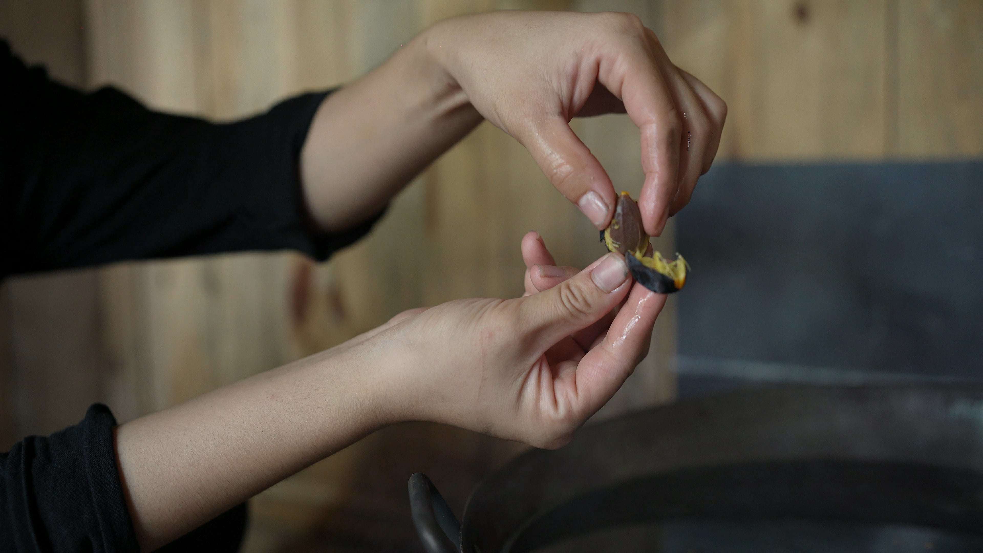 Khi bóp nhẹ, thấy quả trám mềm, ăn thấy béo và ngậy là được. (Ảnh: Lê Thị Thuỷ)