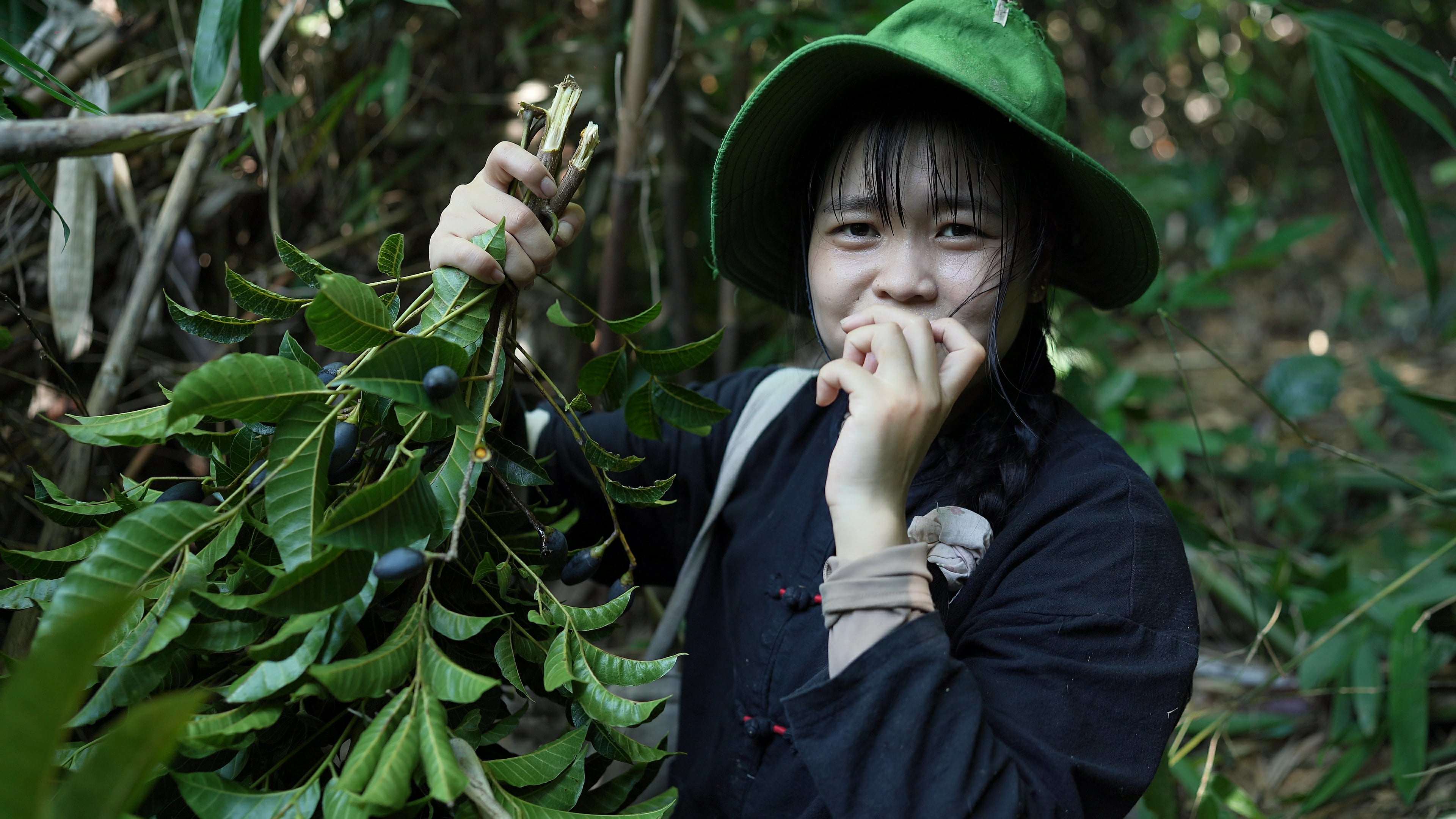 “Ôi quả trám rừng này nó thơm vô cùng vì vừa độ chín, lại là trám nếp nữa”, chị Thuỷ vừa bứt quả trám cho lên mũi ngửi vừa nói. (Ảnh: Lê Thị Thuỷ)