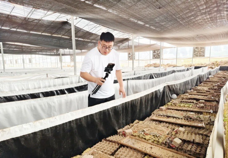 Cựu quân nhân 9X kiếm tiền tỷ nhờ nuôi “côn trùng vàng” lớn siêu tốc - 3