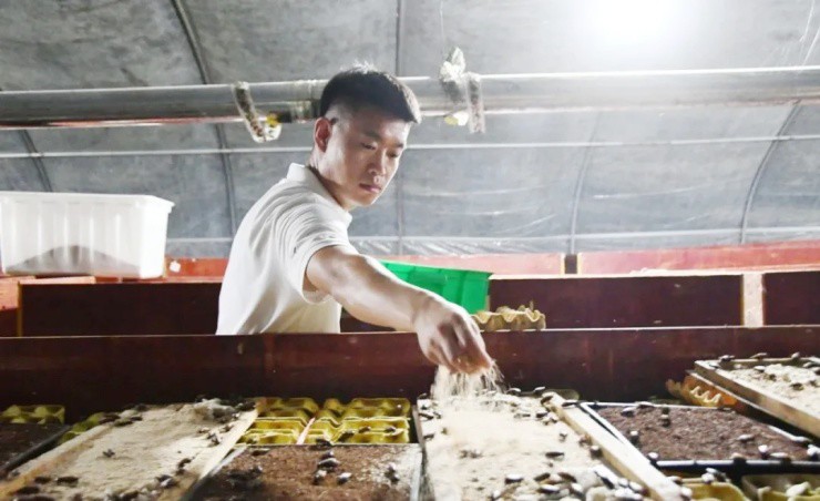 Cựu quân nhân 9X kiếm tiền tỷ nhờ nuôi “côn trùng vàng” lớn siêu tốc - 1