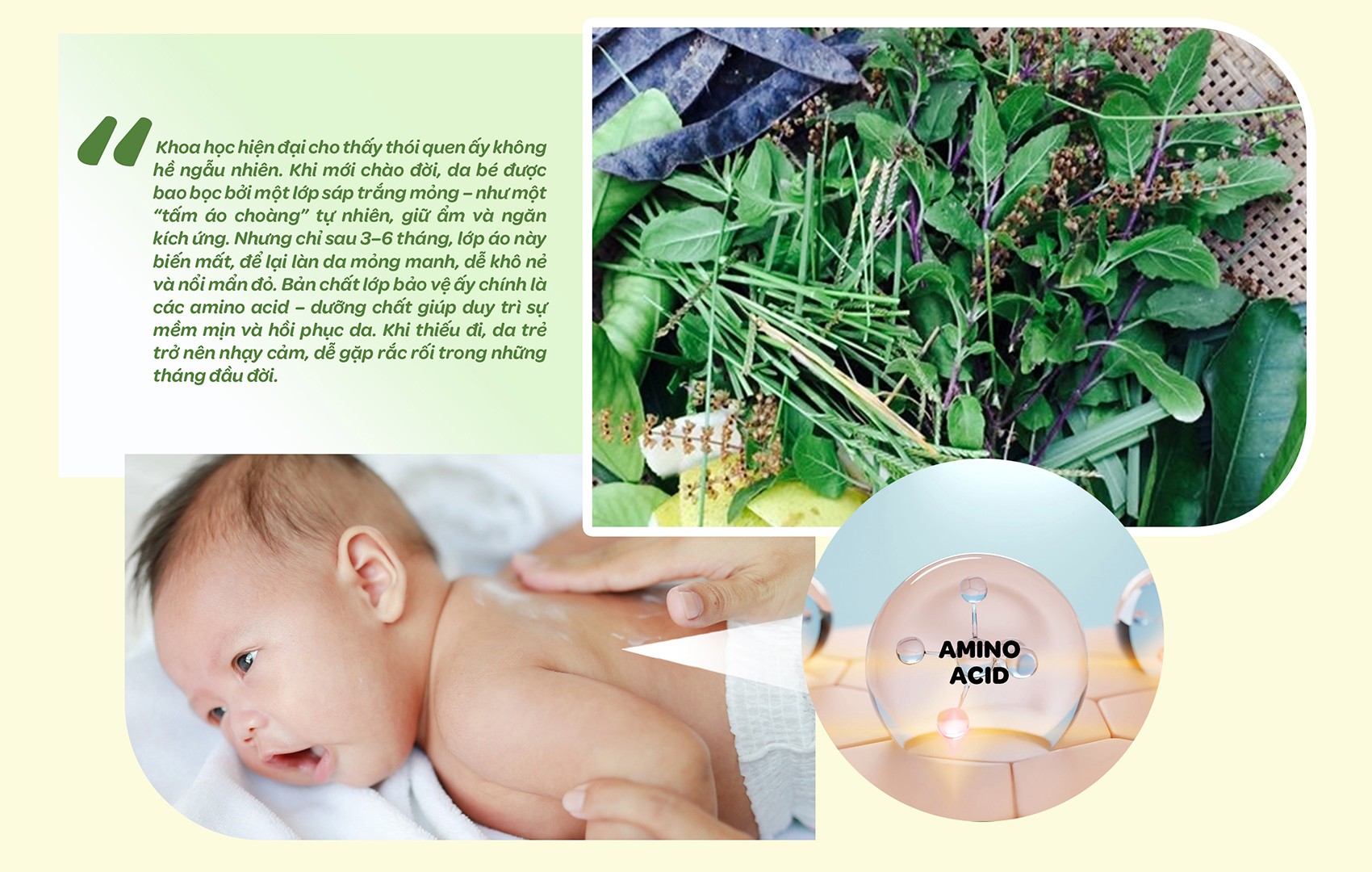 Trà Shan Tuyết – Từ di sản núi rừng đến dấu ấn tiên phong của Dr.Papie trong chăm sóc da trẻ - 7