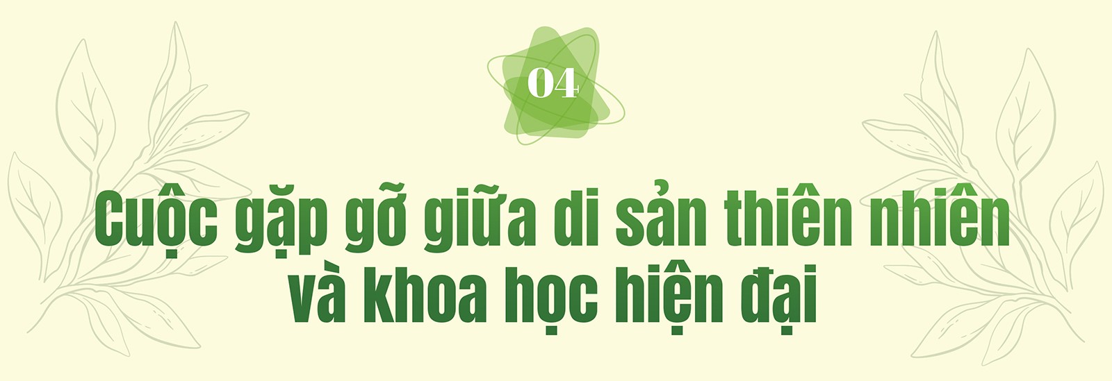 Trà Shan Tuyết – Từ di sản núi rừng đến dấu ấn tiên phong của Dr.Papie trong chăm sóc da trẻ - 21