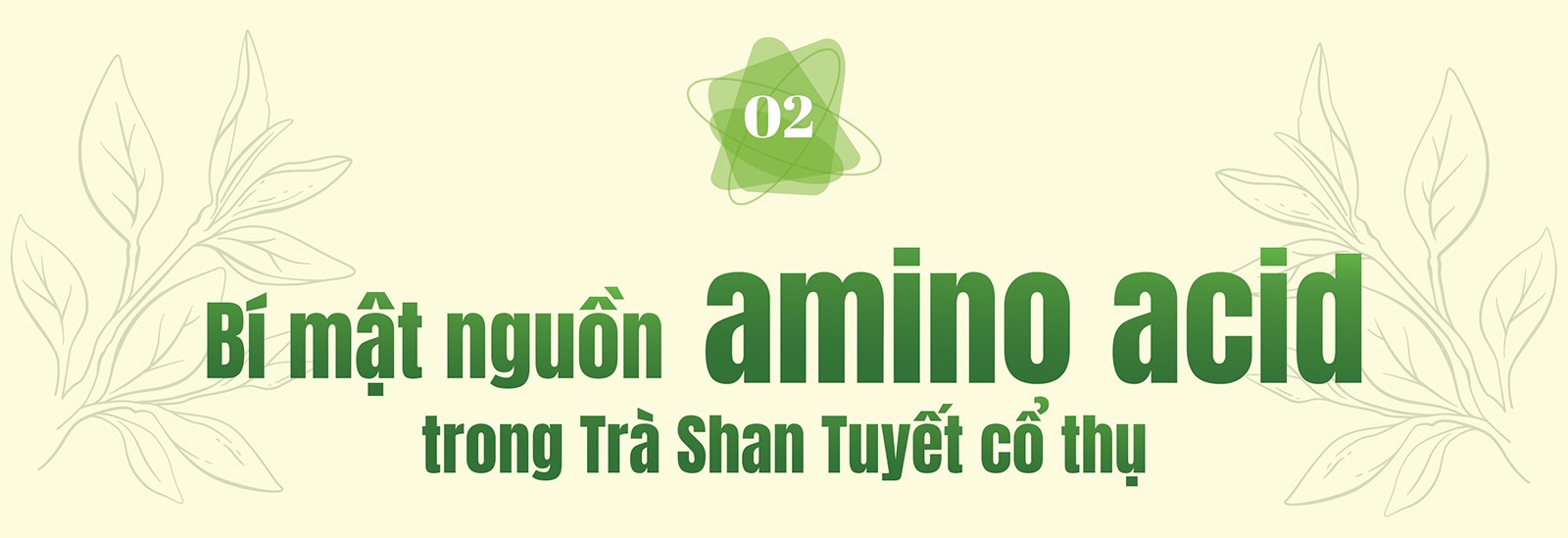 Trà Shan Tuyết – Từ di sản núi rừng đến dấu ấn tiên phong của Dr.Papie trong chăm sóc da trẻ - 10