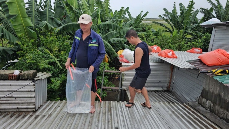 Túi ni lông và ống dẫn nước được đưa lên mái nhà một cách dễ dàng, thuận tiện hơn việc khuân vác bao cát, bờ lô giằng giữ tấm lợp.