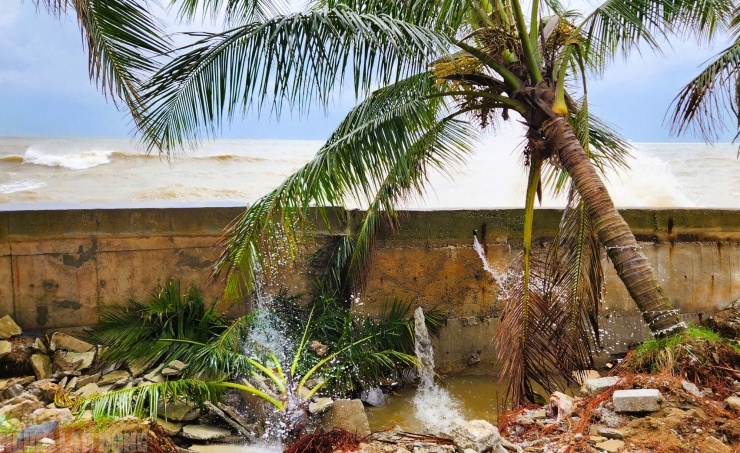 VIDEO: Bão số 10 Bualoi sắp vào, bờ biển Thanh Hóa trước nỗi lo sóng lớn - 4