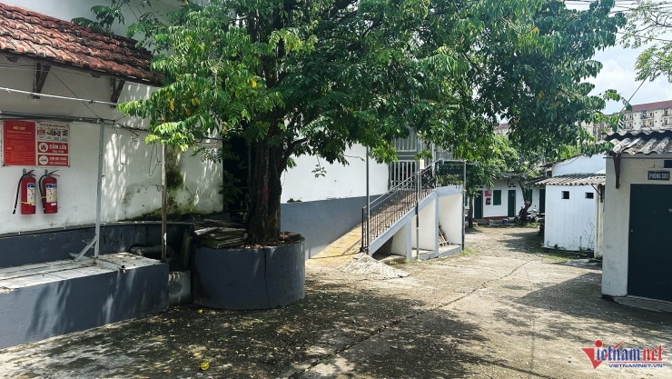 Một số nhân chứng cho biết, nghi phạm dùng dao sát hại nạn nhân dưới gốc cây. Ảnh: Đức Hoàng