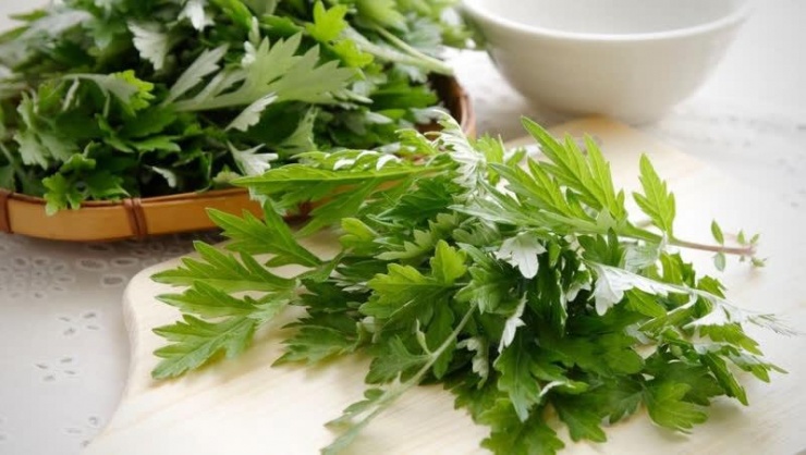 3 món ngon từ loại rau chữa đau đầu, xương khớp, đặc biệt tốt cho phụ nữ - 1
