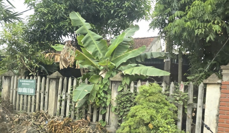 Căn nhà của bố mẹ Nhung