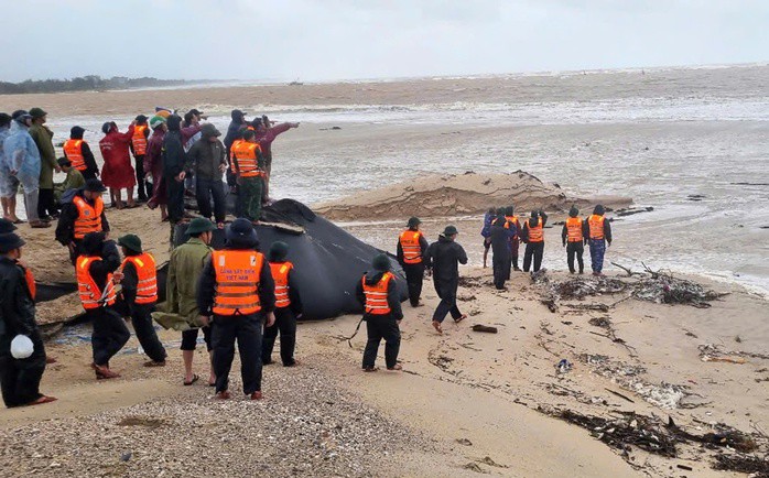 NÓNG: Đang giải cứu 10 ngư dân trên tàu cá ở TP HCM gặp nạn trong bão số 10 Bualoi - 3