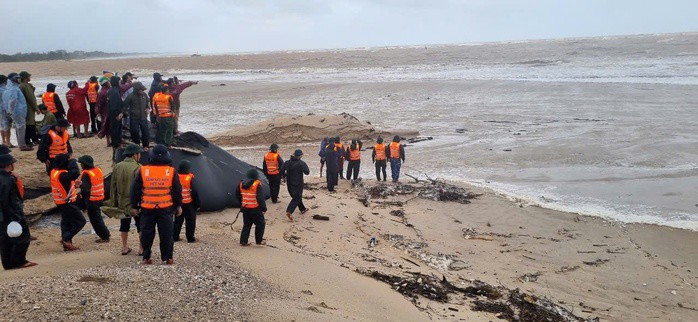 Lực lượng chức năng nỗ lực giải cứu ngư dân gặp nạn trên tàu