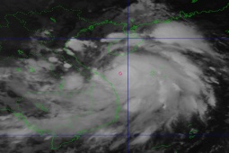 Công nghệ thông tin - Dân mạng Google gì về bão số 10 đang giật cấp 15, cách Đà Nẵng 130Km?