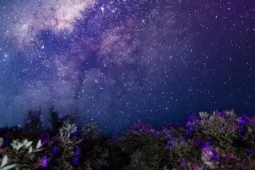 Du lịch - Thức đêm 'săn' dải ngân hà kỳ ảo trên đồi sim Suối Bon
