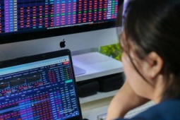 VN-Index "xanh vỏ đỏ lòng", nhà đầu tư chứng khoán bắt đầu lỗ nặng