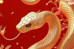 Con giáp có giác quan thứ sáu mạnh mẽ, luôn đi trước người khác một bước