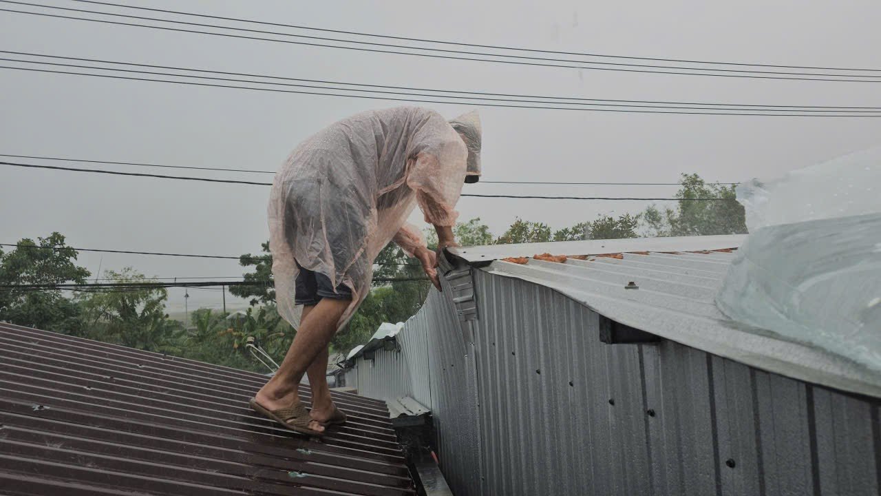 Người dân Huế dùng ‘cách lạ’ chằng chống nhà cửa trước bão gió ra sao? - 6