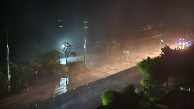 Bão số 10 (Bualoi): Gió quần thảo dữ dội, cây xanh ngã đổ ở miền Trung - 14