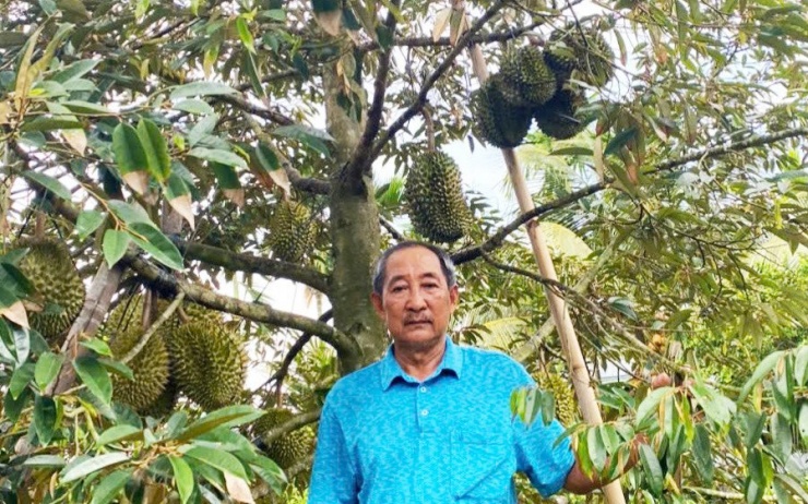 Ông Hiền bên cây sầu riêng giống mới. Ảnh: T.X