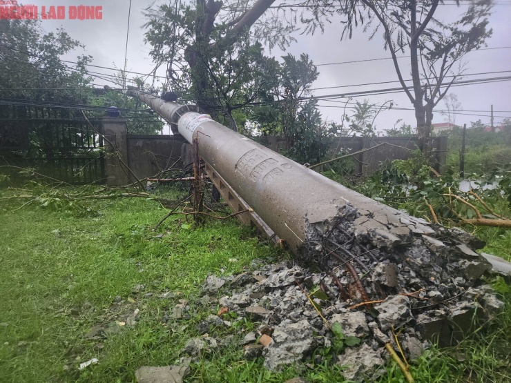 Quảng Trị sau bão số 10: Cột điện gãy đôi, nhà dân chỉ còn trơ khung - 12