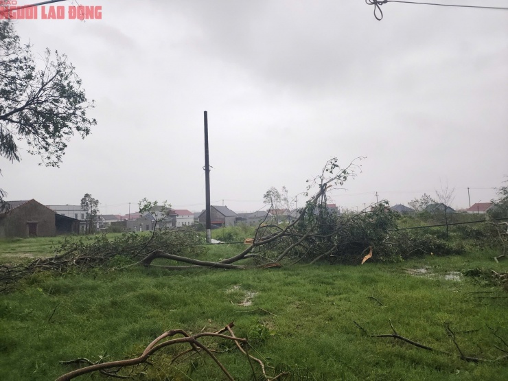 Quảng Trị sau bão số 10: Cột điện gãy đôi, nhà dân chỉ còn trơ khung - 14