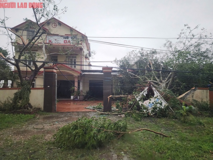 Quảng Trị sau bão số 10: Cột điện gãy đôi, nhà dân chỉ còn trơ khung - 16