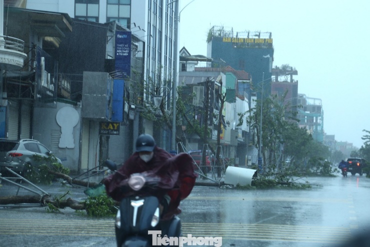 Nghệ An tan hoang sau bão - 14