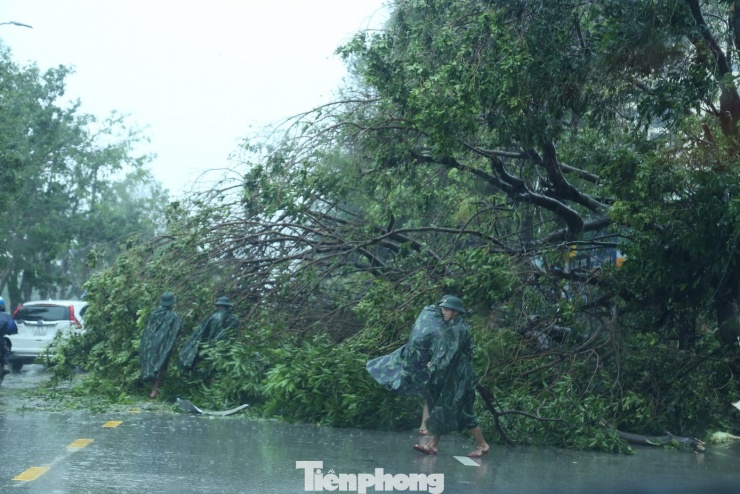 Nghệ An tan hoang sau bão - 16