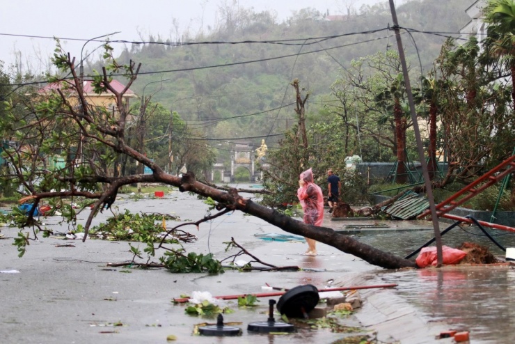 Hàng loạt trụ điện, viễn thông gãy đổ sau bão Bualoi - 14