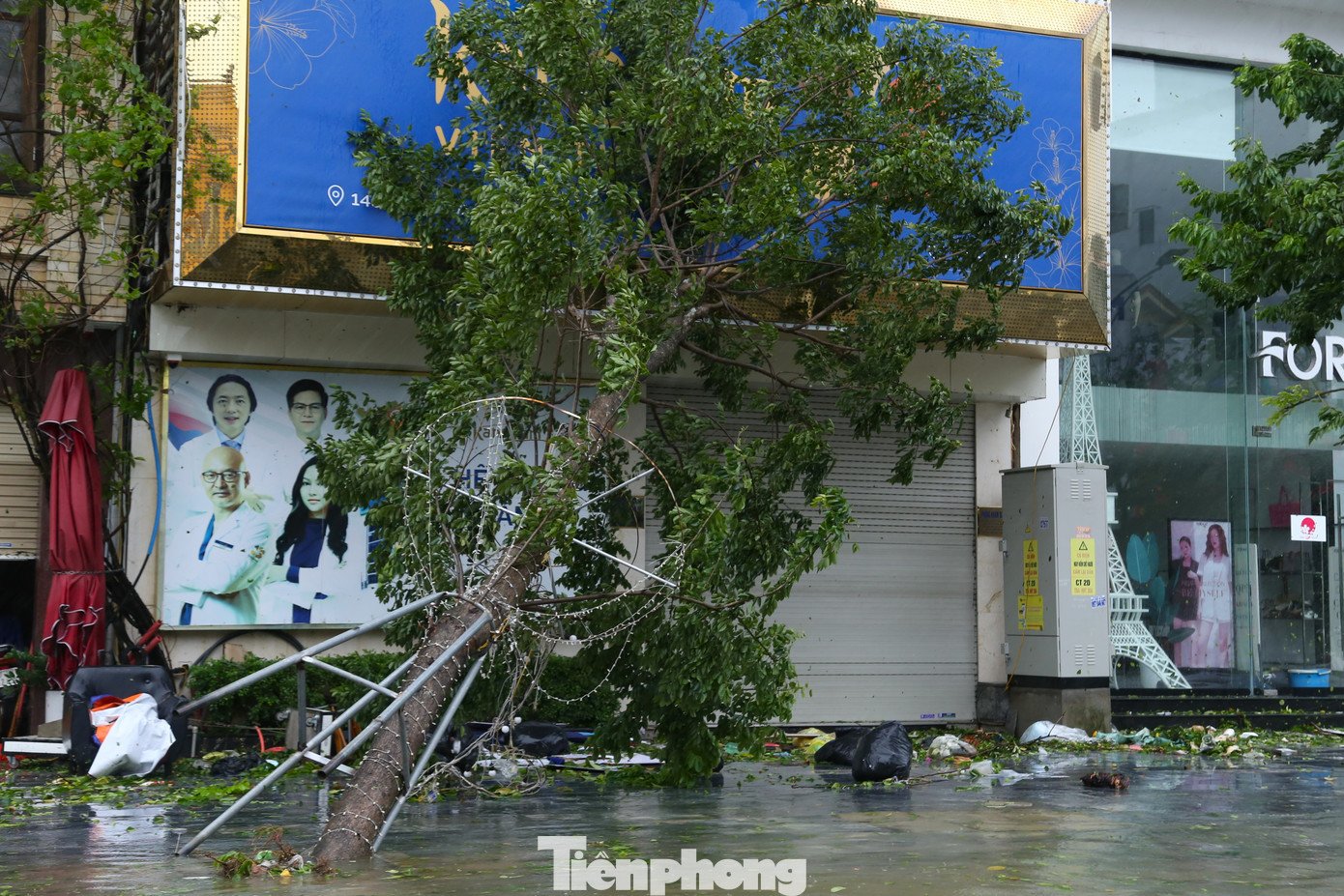 Nghệ An tan hoang sau bão - 12