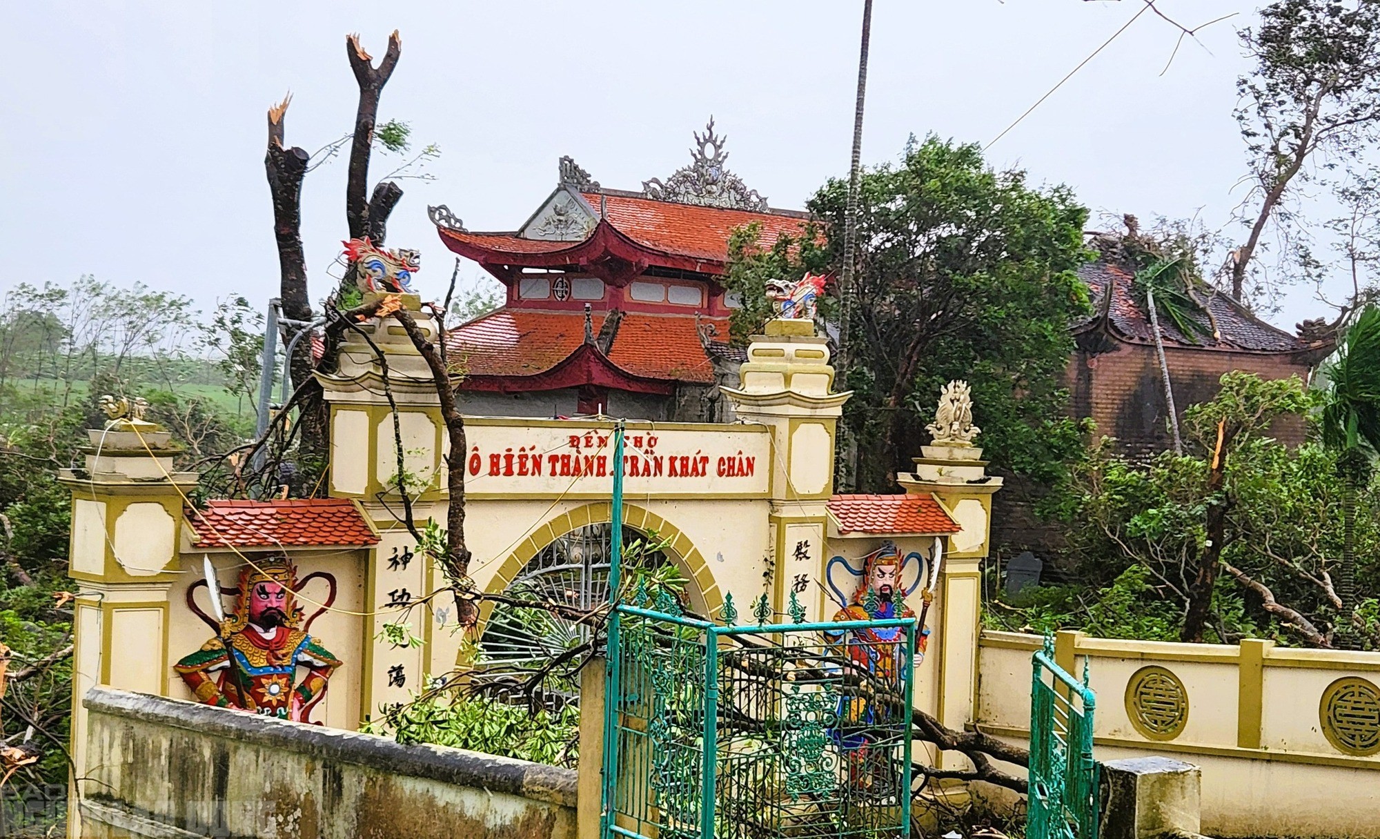 Cây gãy đổ la liệt tại đền thờ Tô Hiến Thành - Trần Khát Chân ngoài đê sông Mã
