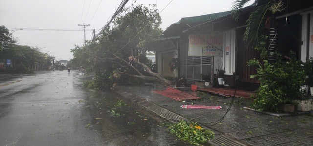 Dù đã có sự chuẩn bị, đề phòng từ trước nhưng do cơn bão quá mạnh khiến cho nhiều cây xanh trên địa bàn phường Nam Hồng Lĩnh bị bão làm gãy, đổ.