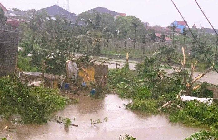 Lốc xoáy làm sập nhà, vò nát cây cối ở Ninh Bình, gây thiệt hại nặng nề về người và tài sản