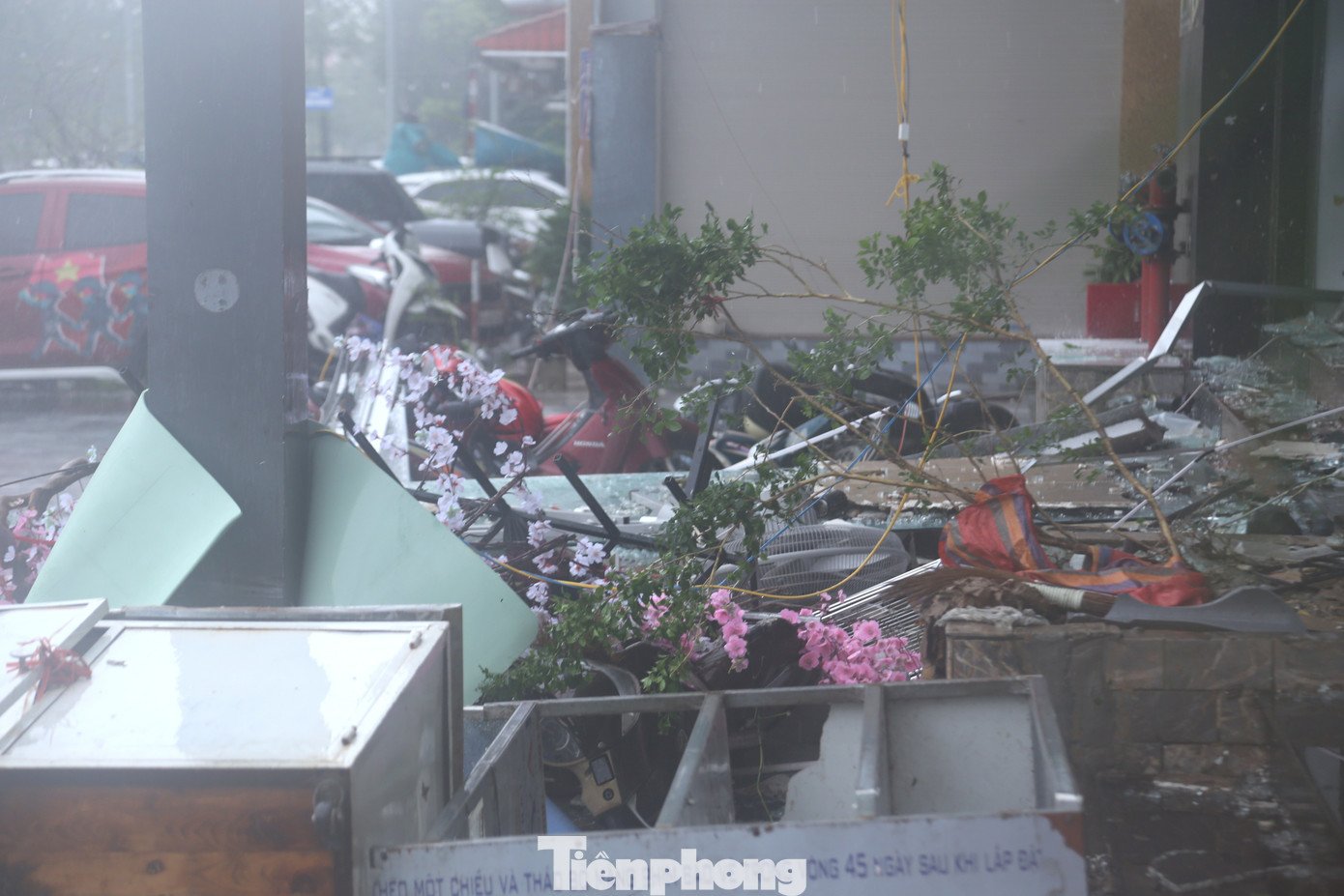 Nghệ An tan hoang sau bão - 3