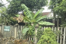 Gia cảnh trắc trở và ‘vết trượt’ của nghi can đâm chết vợ và hai người nghi tình địch